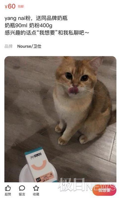 奶粉非要写成“nai粉”?二手交易平台出现拼音暗语广告词,律师提醒消费者提高甄别能力