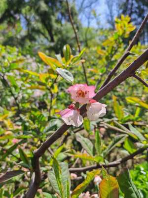 名门世家(潍县曾经的名门世家)