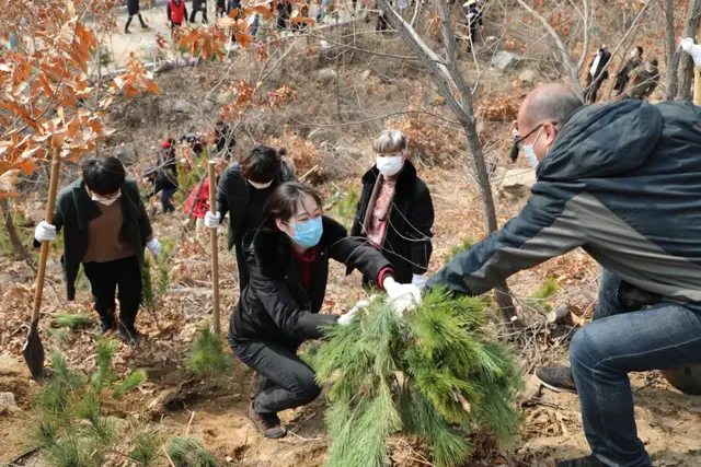 【植树节特辑】威海中院:我看青山多妩媚,料青山看我应如是
