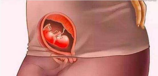 怀孕时妈妈和胎宝是怎么慢慢变化的，十张过程图，妈妈不容易