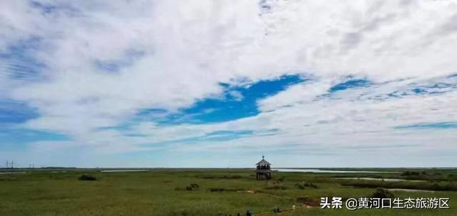 东营市青年钢琴家李约翰  为黄河入海献曲