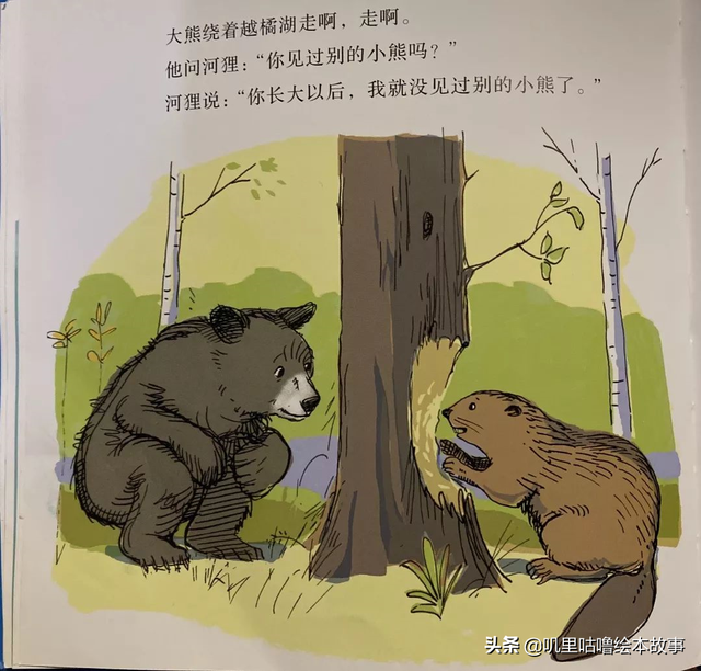 绘本故事_84《小熊的小船》儿时的爱与珍重