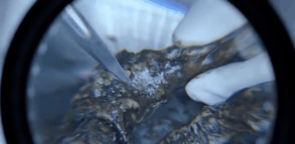 吃饭的时候千万别刷！推荐十部精彩刺激的重口法医剧