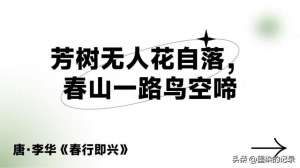 芳树(芳树无人花自落，春山一路鸟空啼)