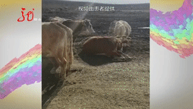 “你瞅啥?”“瞅我就顶你!”黑龙江一男子被顶出个血窟窿……