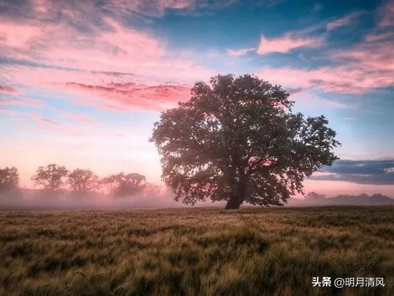 父母已老，以包容之心守护渐老的双亲