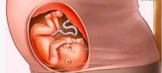 怀孕时妈妈和胎宝是怎么慢慢变化的，十张过程图，妈妈不容易