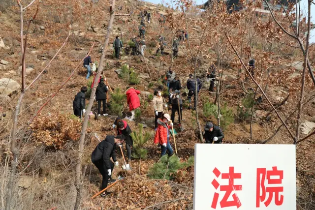 【植树节特辑】威海中院:我看青山多妩媚,料青山看我应如是