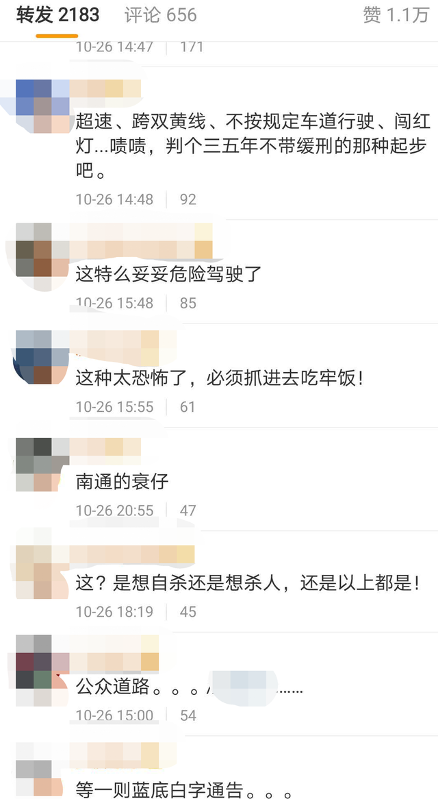 单手飙车时速超250公里，被全网通缉的宝马男，判了