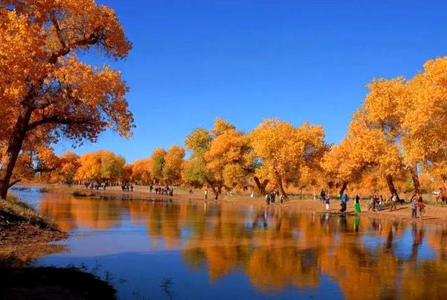 敦煌诗词楹联学会‖王一一诗词20首