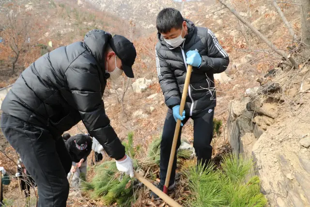 【植树节特辑】威海中院:我看青山多妩媚,料青山看我应如是