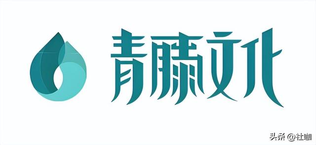 国内十大知名MCN机构排名