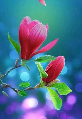 活的精彩(活着，就是幸福15句活得每一天，都是精彩、欢喜的一天)