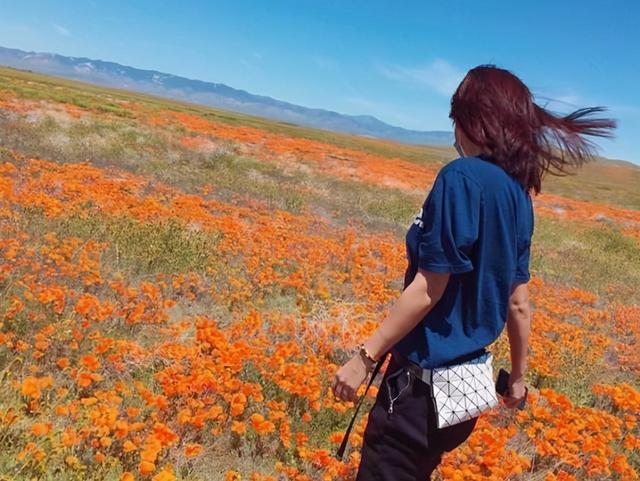麻花辫、紧身裤、高尔夫,47岁徐静蕾近况曝光,不婚才女生活洒脱