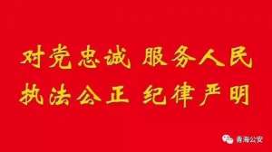 李成龙(李成龙︱青海省优秀人民警察(2013—2017)简要事迹)