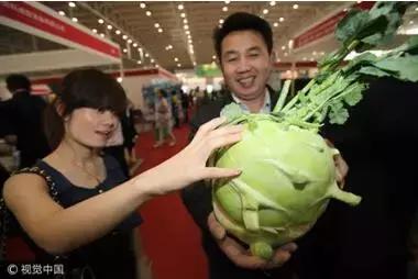 还在吃传统蔬菜吗？不妨试试这些“高档货”