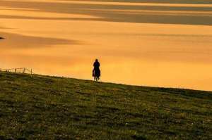 牧人之子(唱一曲草原的歌——《我是牧人之子》)