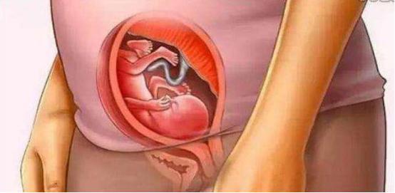 怀孕时妈妈和胎宝是怎么慢慢变化的，十张过程图，妈妈不容易