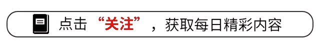 《歌手2024》打败那英，亚当到底什么来历？