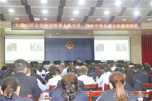 毒品检测黑科技——毛发验毒，一起来了解一下