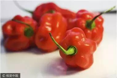 还在吃传统蔬菜吗？不妨试试这些“高档货”