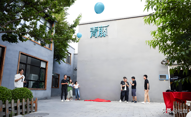 国内十大知名MCN机构排名