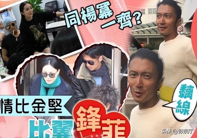 谢霆锋不打你，你就自求多福吧！