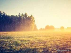 双亲(父母已老，以包容之心守护渐老的双亲)