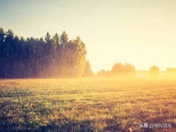 父母已老，以包容之心守护渐老的双亲