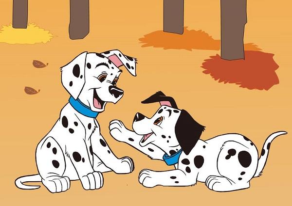 影视圈10大明星动物，加菲猫和小猪佩奇均上榜，你认识几个？