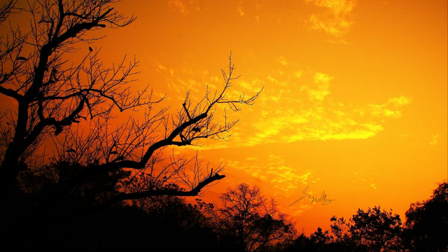 周传雄创作《黄昏》背后藏着自己艰苦的真实经历