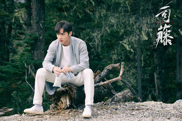 《司藤》:秦放是树,白金是鸟,那白英的后代是谁?