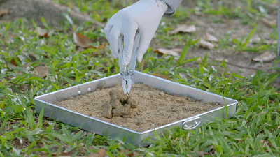 虎狼泰剧又来了！仅1集收视率就拿下开年第一，或成年度爆款泰剧