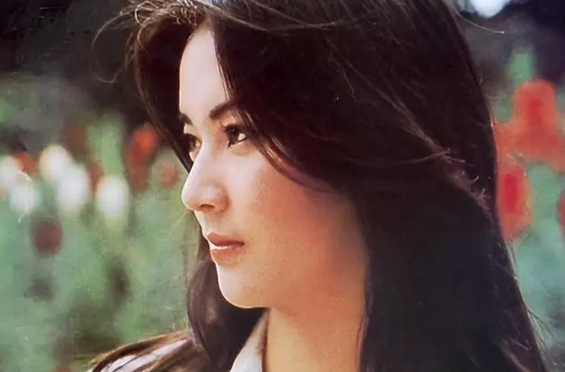 “霸王花”胡慧中:黑帮老大为她金盆洗手,现任老公入狱不离不弃