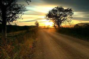 逃离循环(逃离循环岛（2）)