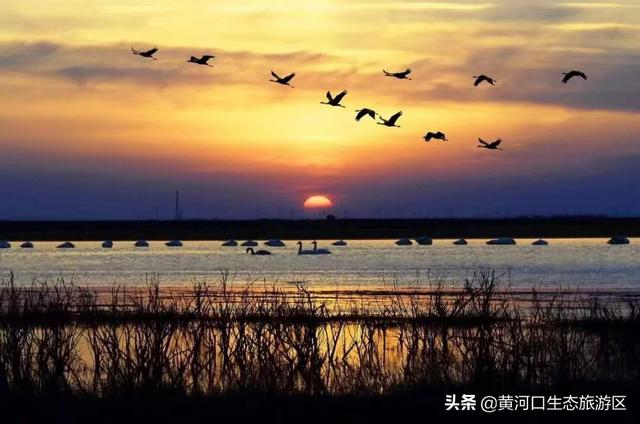 东营市青年钢琴家李约翰  为黄河入海献曲