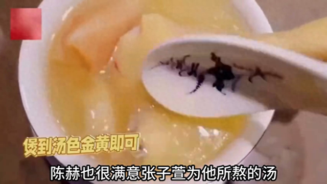 陈赫：跟初恋离婚转身迎娶张子萱，婚后仅靠副业总资产破千亿！
