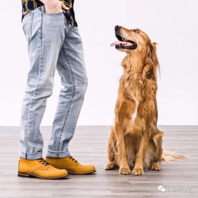 陪你走1000英里？扯扯Wolverine