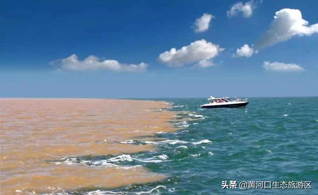 东营市青年钢琴家李约翰  为黄河入海献曲