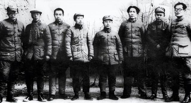 建国后,博古儿子看望王震,王震用六个字评价其父亲,令人唏嘘!