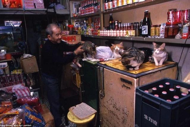 香港九龙城寨旧照：曾是香港最邪恶之地，白天警察不敢独自进入