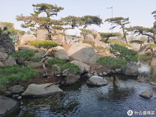 想去白嫖却被反薅的北京网红景点---罗红摄影艺术馆