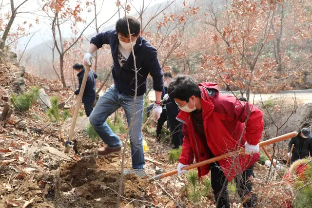 【植树节特辑】威海中院:我看青山多妩媚,料青山看我应如是