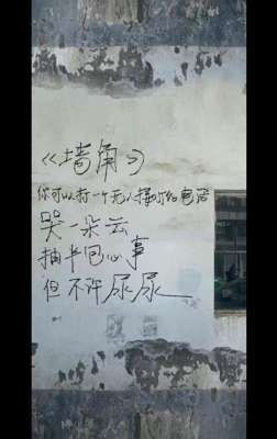 菠萝吹雪梨花诗(恋爱官宣文案)