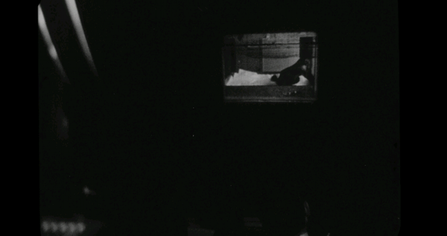 这片没刷屏,真可惜了影帝