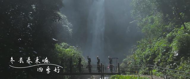 一岁一年好光景！云南群星版《样样好》MV全网上线