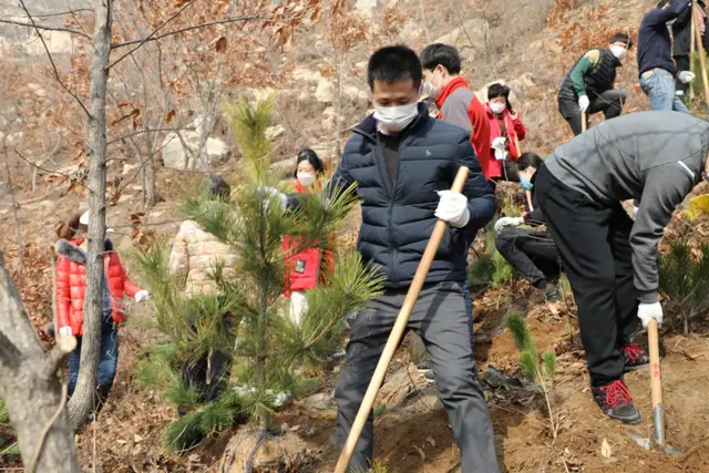【植树节特辑】威海中院:我看青山多妩媚,料青山看我应如是