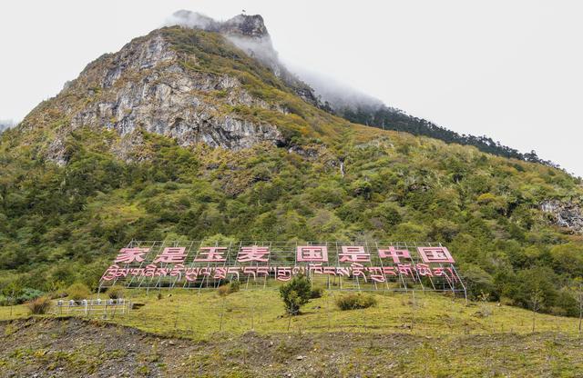 西藏：玉麦“蝶变”