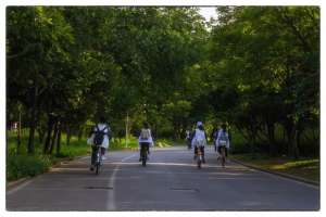 蒋丞顾飞(撒野：让顾飞和蒋丞最终走到一起的，除了蒋丞的坚持，还有这些)