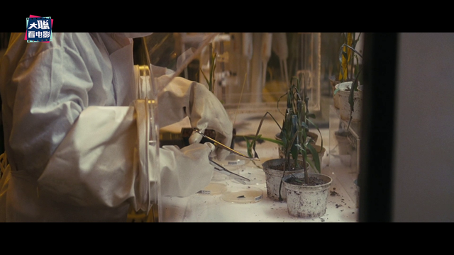 《星际穿越》深度彩蛋分析！为何选玉米为末日谷物原来还有这操作